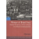 Pensar El Brasil Hoy. Teorias Literarias Y Critica Cultural En El Brasil Contemporaneo