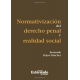 Normativizacion Del Derecho Penal Y Realidad Social