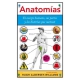 Anatomias