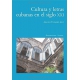 Cultura Y Letras Cubanas En El Siglo Xxi