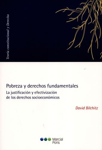 Pobreza Y Derechos Fundamentales La Justificacion Y Efectivizacion De Los Derechos Socieconomicos