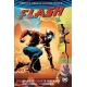 Flash: The Rebirth Dlx Ed Bk 2