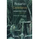 Rosario Castellanos: Perspectivas críticas