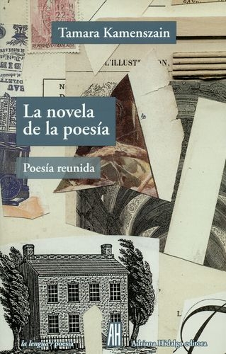 Novela De La Poesia, La