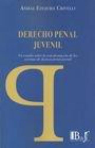 Derecho Penal Juvenil Un Estudio Sobre La Transformacion De Los Sistemas De Justicia Penal Juvenil