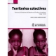 Territorios Colectivos. Proceso De Formacion Del Estado En El Pacifico Colombiano 1993-2009