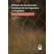 Defensa De Los Derechos Humanos De Los Migrantes Y Refugiados. El Rol De Las Organizaciones