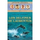 Delfines De Laurentum, Los