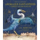 Animales Fantasticos Y Donde Encontrarlo